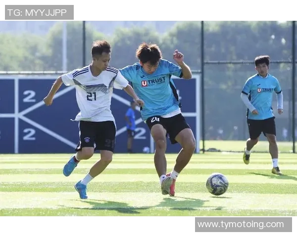 足球荼的魅力与激情：探索这项运动背后的故事与文化